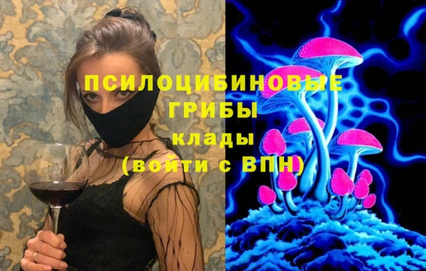 дживик Алексеевка