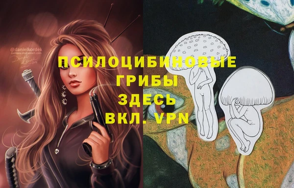дживик Алексеевка