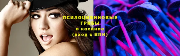 гидра Алзамай