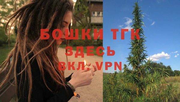 гидра Алзамай