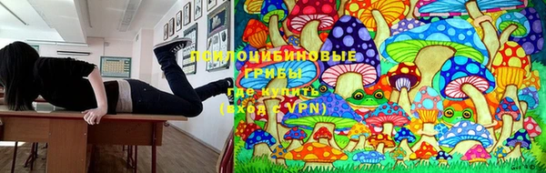 твердый Алексин