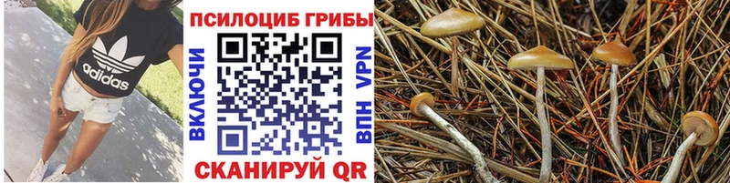 Галлюциногенные грибы Magic Shrooms  Хвалынск 